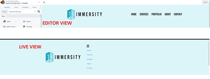 editor and live view